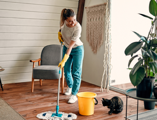 Expert Tips for Spring Cleaning: Advice from a Chiropractor